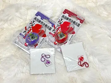 에바치 범용 난형 결전 병기 시험 창간호 아스카 모델 특전 포함 세트