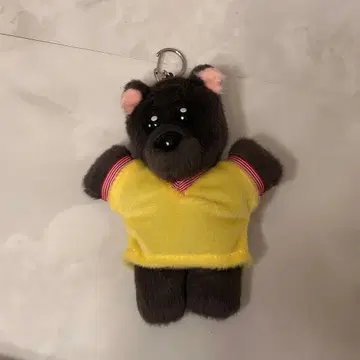 BOYNEXTDOOR 푸넥도 명명 키링