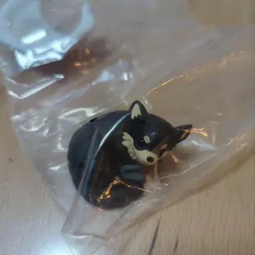 따뜻한 강아지 치와와 블랙탄 가챠가챠 캡슐 토이