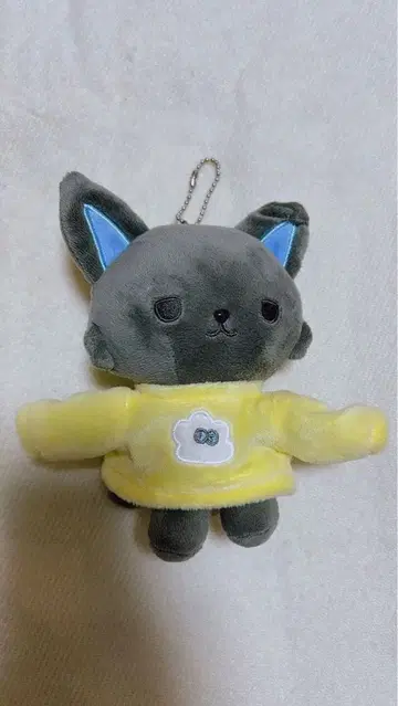 지오참 피하이 키링