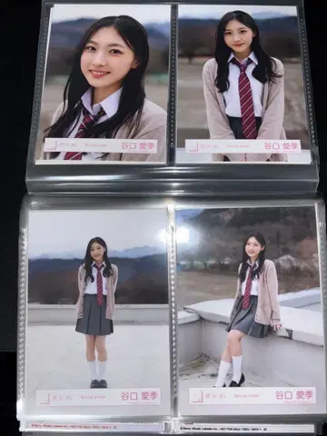 타니구치 아이리 여름의 지름길 MV 의상 컴프