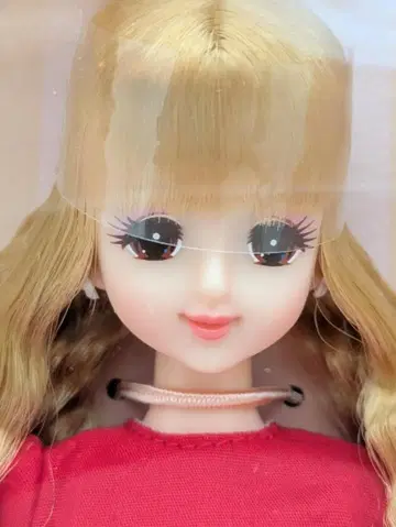 리카짱 캐슬 초대 제니 일본교 11주년 기념 파티