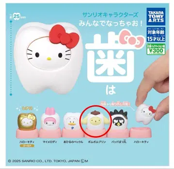 산리오 캐릭터즈 치아