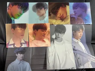 SEVENTEEN YMMD CD 렌티큘러 카드 디노