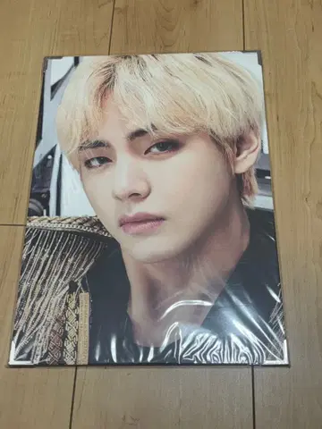 BTS 프리미엄 사진 V