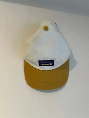 Patagonia 캡