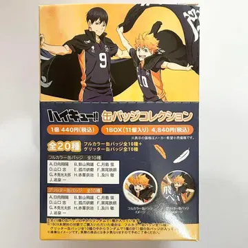 하이큐!! 캔뱃지 컬렉션 풀컬러 10종 글리터 히나타 쇼요