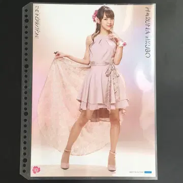 4576 모닝구무스메 이이쿠보 하루나 핀업 포스터