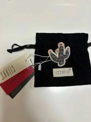 CITRUS 선인장 자수 브로치