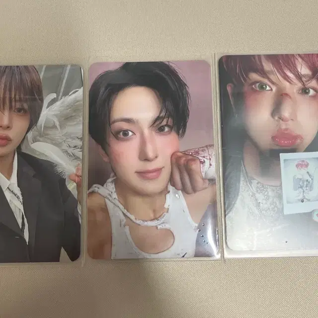 앤팀 백 투 라이프 앨범 포토카드 케이 하루아 후마