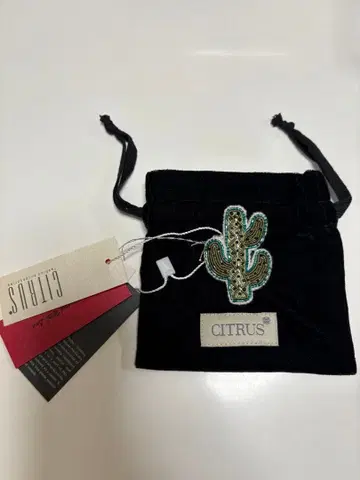 CITRUS 선인장 자수 브로치
