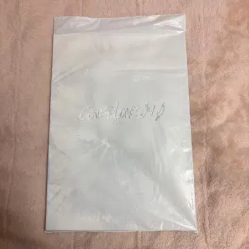 [ 미개봉 ] [ 신 에반게리온 극장판 ] 영화 팜플렛