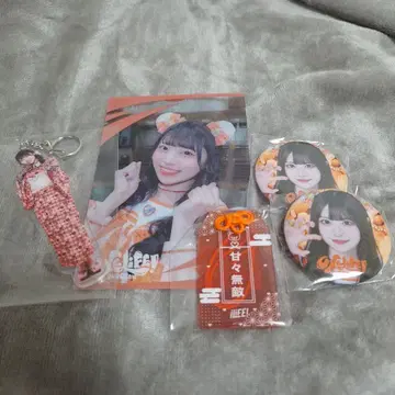 작은 곰 마무 묶음 판매