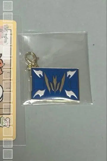 가면라이더 류우키 카드 메탈참 나이트 서바이브 시크릿