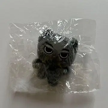 alphadriveone ALD1 마스터 리오 봉제 인형