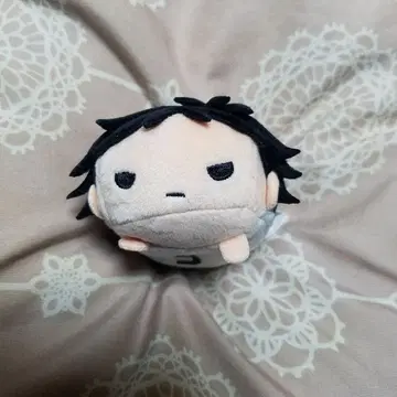 아카아시 케이지 노루캬라 마스코트 봉제 인형 하이큐 2017