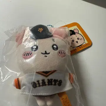 치이카와 자이언츠 콜라보 마스코트 헌책방