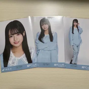 카라 부착 코디 세토구치 신츠키 컴프