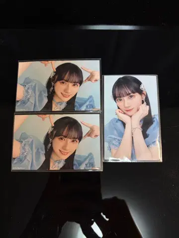 노기자카46 세미 네이비 미니 브로마이드 치트데이 카와사키 벚꽃