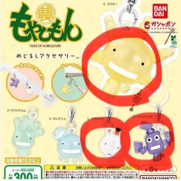 모야시몬 A.오리제 L.요구르티 C.반티아나 3종 세트