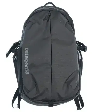 patagonia 백팩 백팩 남성용