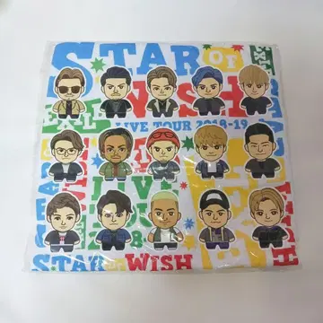 EXILE STAR OF WISH 온라인 한정판 T셔츠 M사이즈 화이트