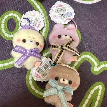 스쿳토 타치상 콘 카페 체크 코아 아자라시상 토끼 3종 세트