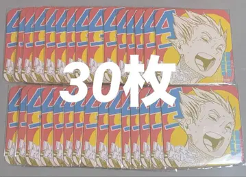 하이큐 팬파크 아토코 보쿠토 코타로 30장