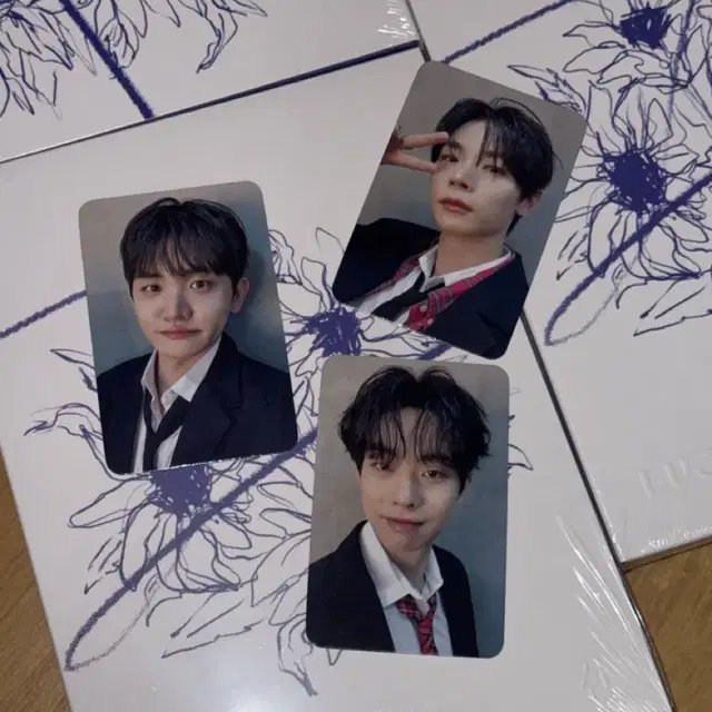 루시 선 앨범 미개봉 / 251114 대면 팬싸 미공포 포카 일괄