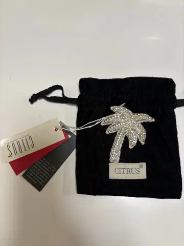 CITRUS 팜트리 브로치