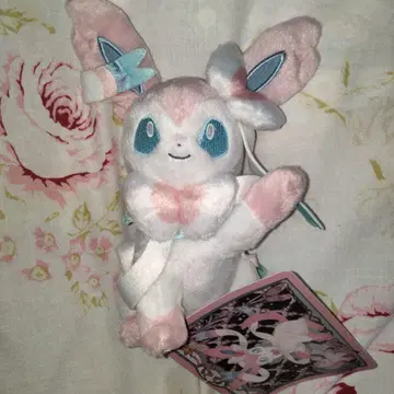 포켓몬 이브이 컬렉션 봉제 인형 크리스마스 선물