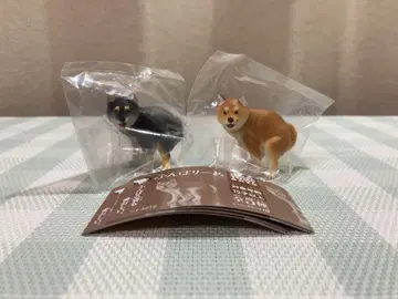 새상품 푼바리~누 푼바리~누 시바견 블랙 시바