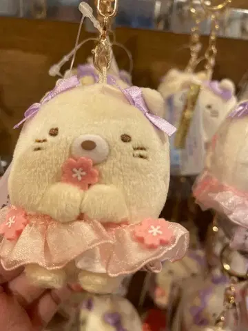 스미코구라시 고양이 봉제 인형 새상품 미개봉 교토 한정판