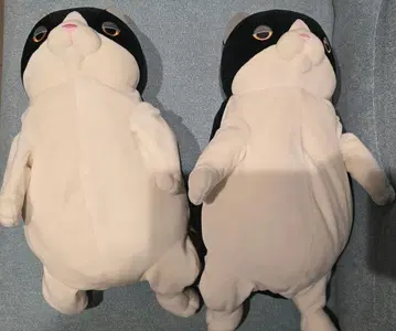 시나다 글로벌 모찌 고양이 하치와레 다릴 L 사이즈 타카하시 히로무