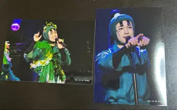 닌뮤 롯탄 육학년 단독 라이브 타치바나 센조 유모토 켄이치