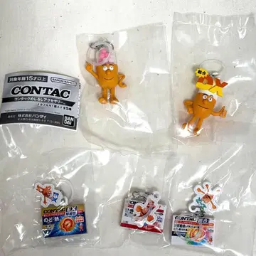 콘택 CONTAC 메지루시 액세서리 전 5종 풀 컴프 세트