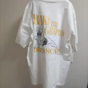 x DRESS CAMP 사이즈 LL T셔츠