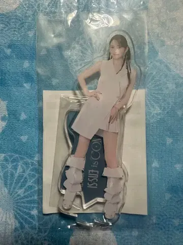 검지나노 아크릴 스탠드 아크스타 IS:SUE IS COMING