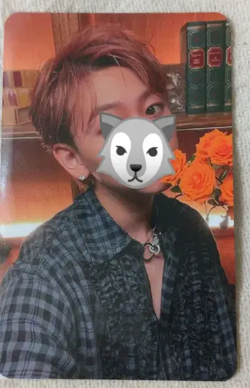 초특급/슈야/키라리/B상 셀카 트레이딩 카드