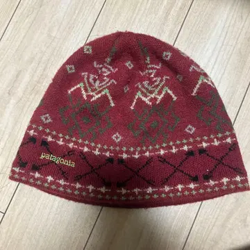 파타고니아 비니