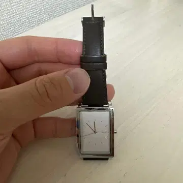 긴급 가격 인하 스카겐 아날로그 손목시계 실버/브라운