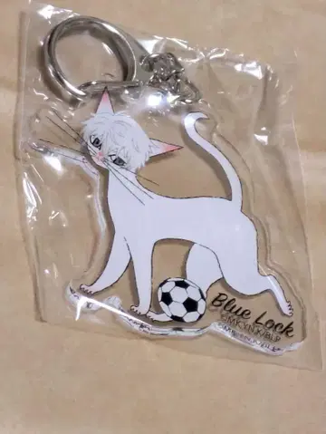 블루 록 고양이 디자인 아크릴 키링 나기 세이시로