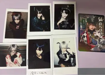 록소 린 란 폴라로이드