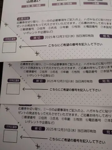 BUBKA 부부카 응모권 3매