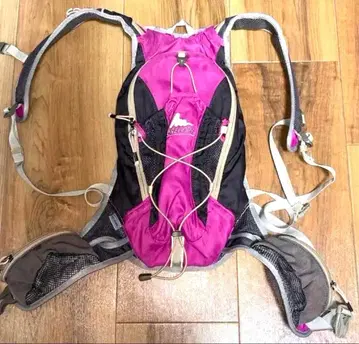 GREGORY (그레고리) 베스트형 백팩 러닝 팩 아웃도어