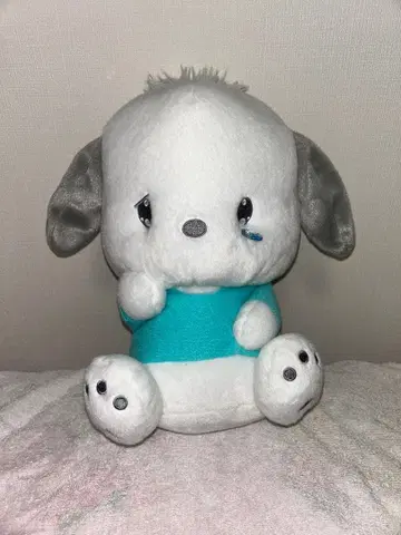 포차코 시무룩한 비 오는 날씨 BIG 봉제 인형