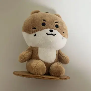 SEVENTEEN miniteen 마그넷 키링 디노 찬다리