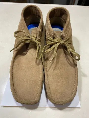 클락스 왈라비 26cm