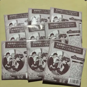 가정교사 히트맨 REBORN BIG 캔뱃지 미개봉