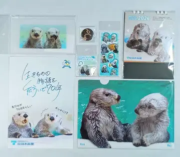 도바 수족관 랏코 메이짱 키라짱 여러가지 새상품